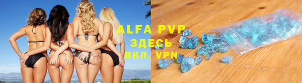 стаф Володарск