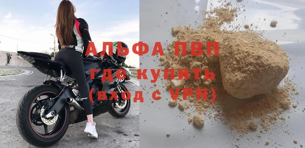 стаф Володарск