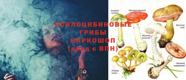 стаф Володарск