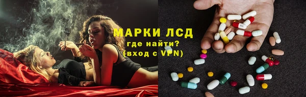 стаф Володарск