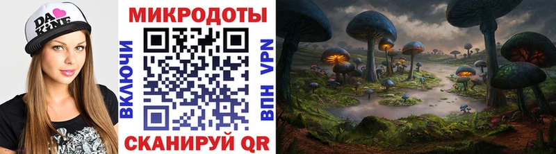 Купить закладки  Олёкминск  Галлюциногенные грибы Psilocybe 