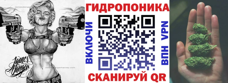 Бошки Шишки VHQ  Купить где  Олёкминск 